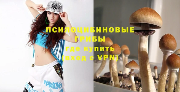 винт Баксан