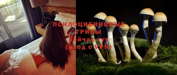 прущий лед Армянск